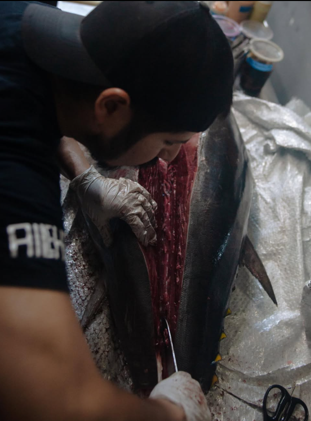 Atún bluefin